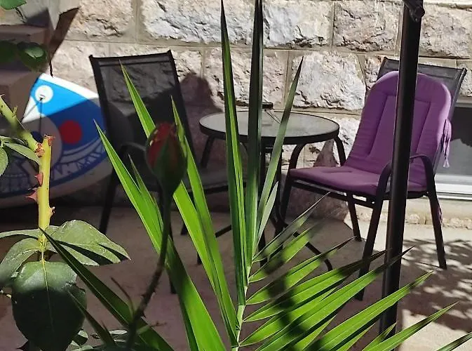 Branka ゲストハウス